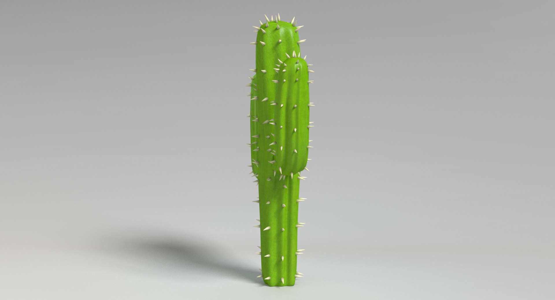 cartoon cactus obj https://p.turbosquid.com/ts-thumb/az/TDRtba/ifOo0S8d/images0012/png/1482188242/1920x1080/fit_q87/6519a316a2790c1c4985d5003faecc59f8907955/images0012.jpg
