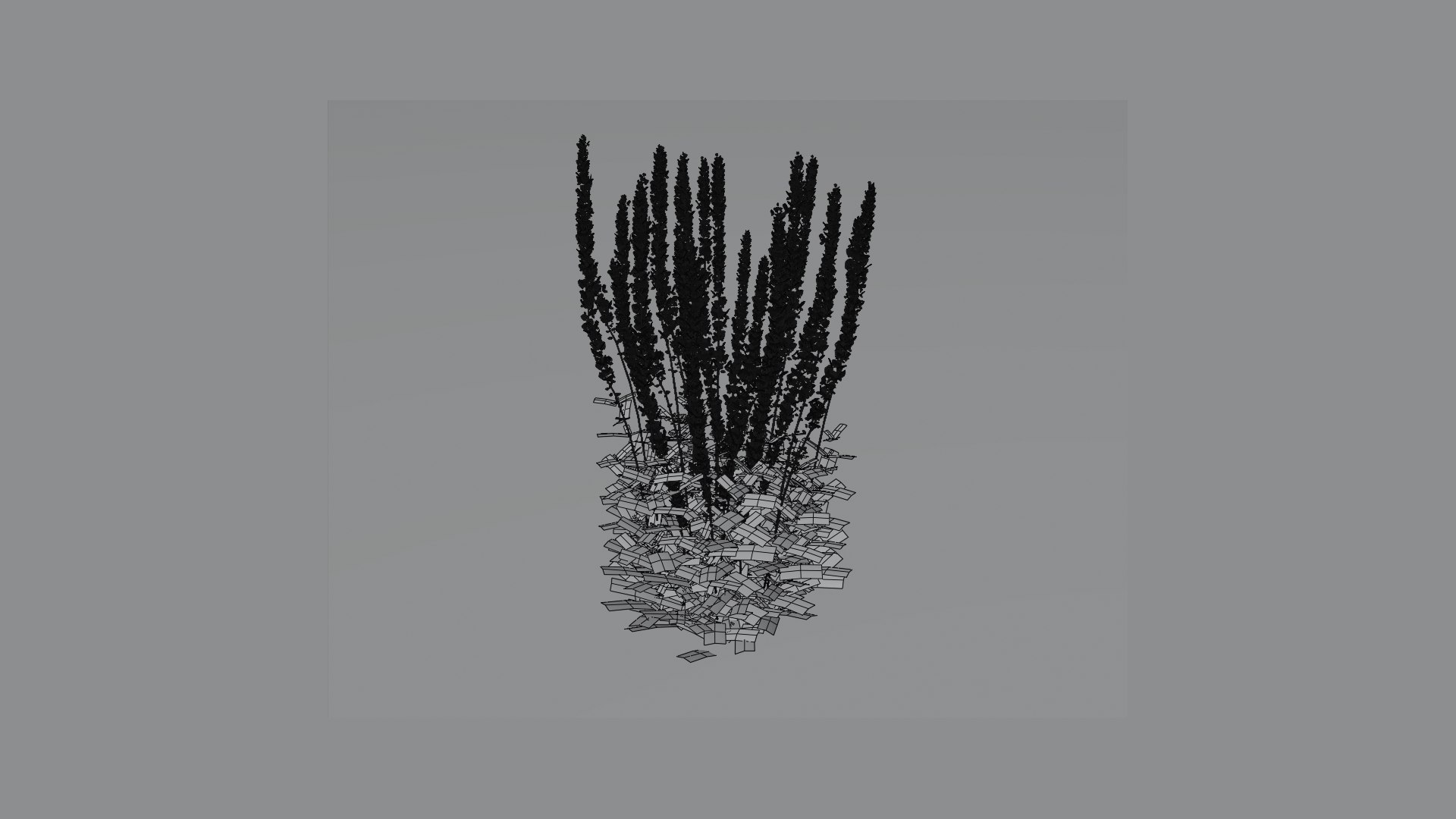 salvia nemorosa caradonna gardens 3D model https://p.turbosquid.com/ts-thumb/az/fKCpON/3m/wire1/png/1649002700/1920x1080/fit_q87/cfe648b9bcf18f3b1e2210d8157ea387b59eb7d0/wire1.jpg