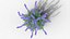 Salvia nemorosa Caradonna