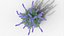Collection de bordures vivaces - Sauge, Échinacée, Iris, Coréopsis, Bruneron et Allium