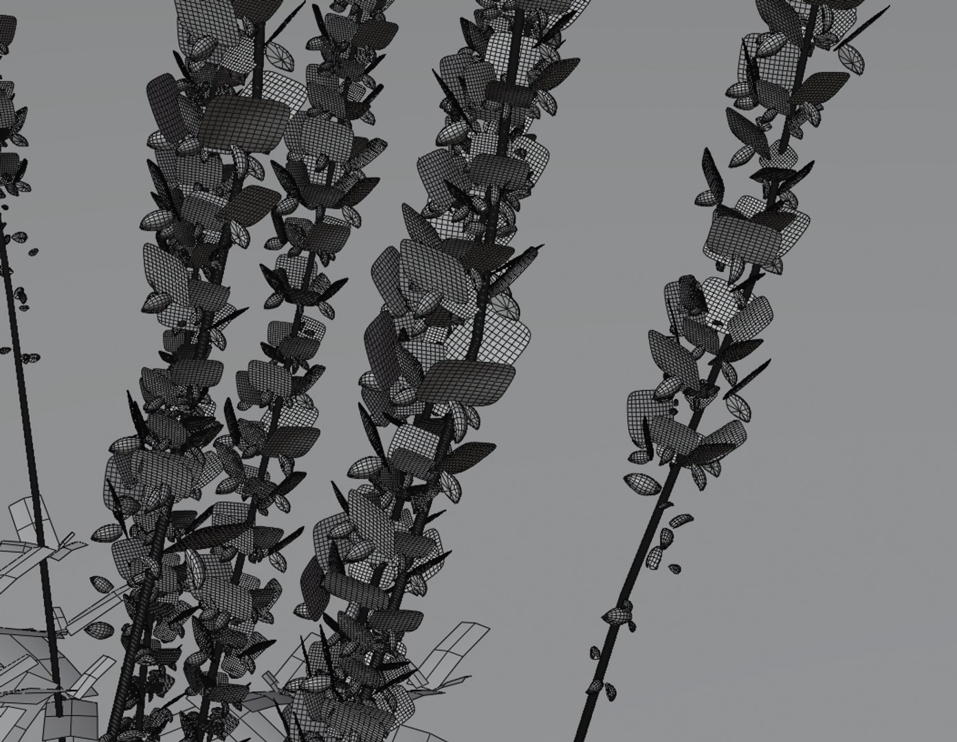 salvia nemorosa caradonna gardens 3D model https://p.turbosquid.com/ts-thumb/az/fKCpON/vqJEJajk/wire3/png/1588700618/1920x1080/fit_q87/1662ed2780e609ea49622cdd6b6e697bf01bd9b9/wire3.jpg