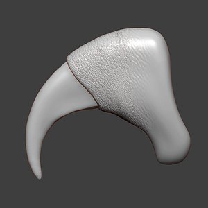 Cat Claw Highpoly Sculpt