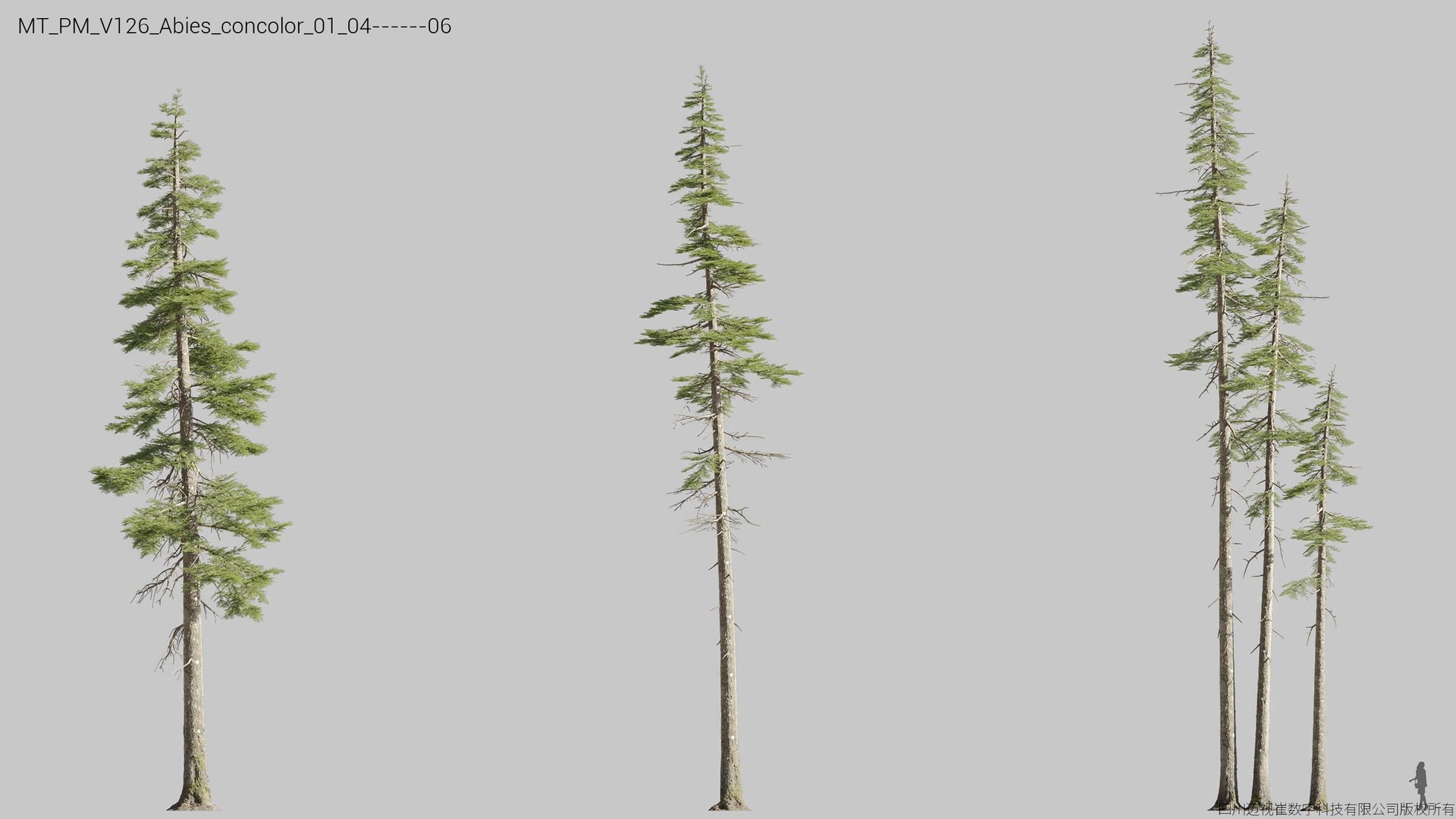 Plant Models Vol 126 - Mesh 3D model https://p.turbosquid.com/ts-thumb/az/nEmMpF/1n/mt_pm_v126_abies_concolor_01_0406/jpg/1788918445/1920x1080/fit_q87/328f95cbaf84dad8c999bc745b7a87ce26c7def2/mt_pm_v126_abies_concolor_01_0406.jpg