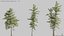 Modèles de plantes Vol 126 - Maillage