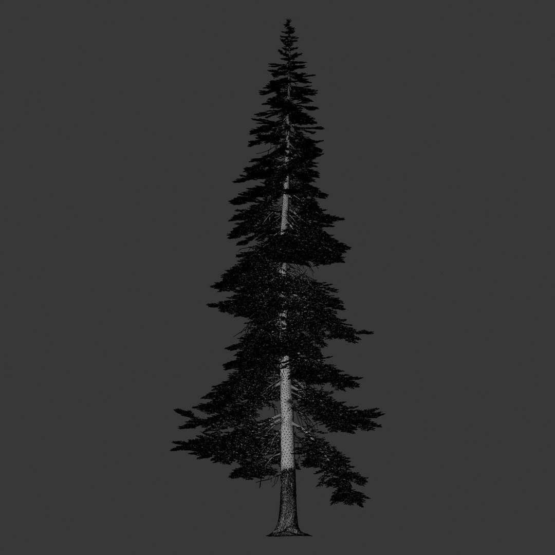 Plant Models Vol 126 - Mesh 3D model https://p.turbosquid.com/ts-thumb/az/nEmMpF/Dj/mt_pm_v126_abies_concolor_01_03_wireframe_front/png/1788918454/1920x1080/fit_q87/6f83fa5ab581c35525bb7d2bb7bbc8bedccc0420/mt_pm_v126_abies_concolor_01_03_wireframe_front.jpg