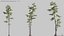 Modèles de plantes Vol 126 - Maillage