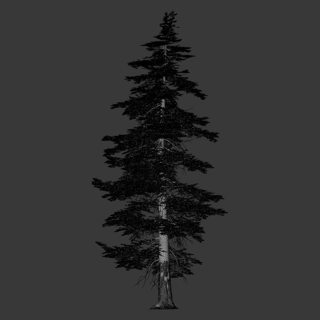 Plant Models Vol 126 - Mesh 3D model https://p.turbosquid.com/ts-thumb/az/nEmMpF/XC/mt_pm_v126_abies_concolor_01_02_wireframe_front/png/1788918460/1920x1080/fit_q87/a7a165c6039aaa0917c2286a05f015f8d3ed3830/mt_pm_v126_abies_concolor_01_02_wireframe_front.jpg
