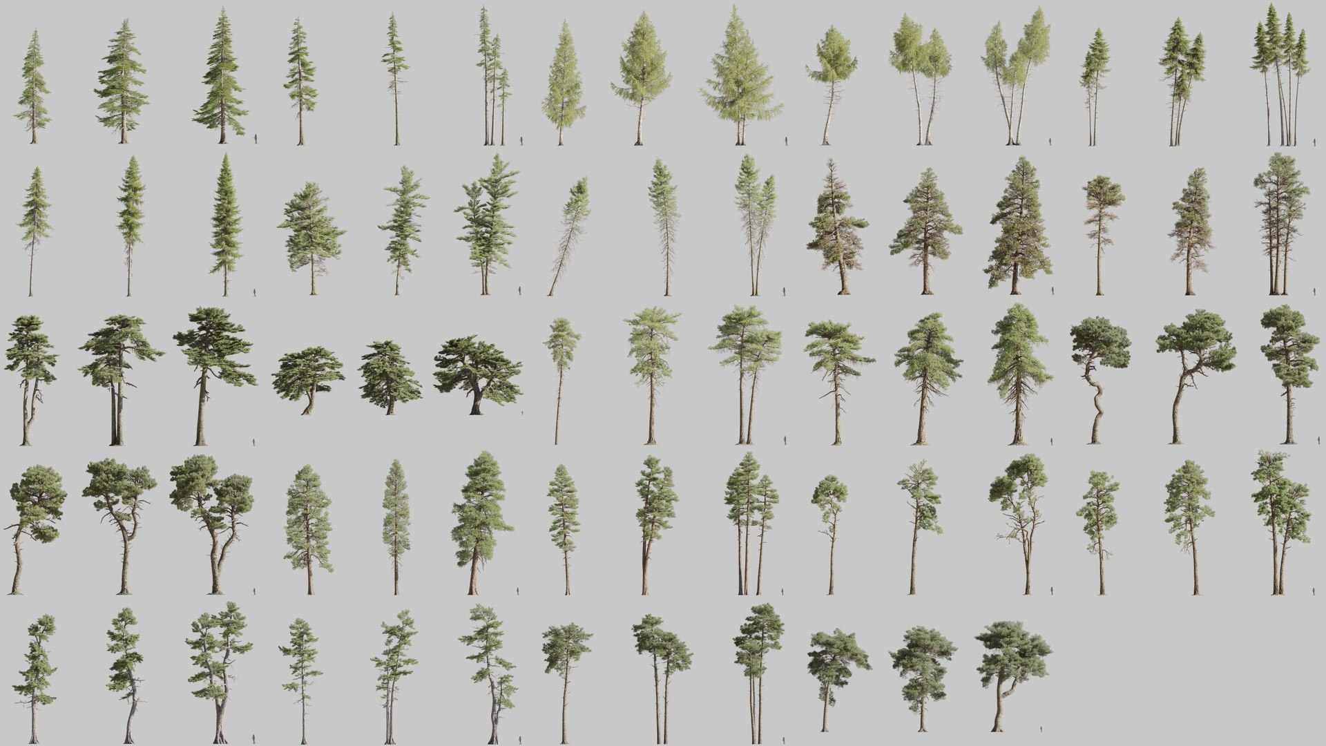 Plant Models Vol 126 - Mesh 3D model https://p.turbosquid.com/ts-thumb/az/nEmMpF/fb/mt_pm_v126_previews_2500/jpg/1788918439/1920x1080/fit_q87/9eb852ca039438ea837008d6f395f553d7e95233/mt_pm_v126_previews_2500.jpg