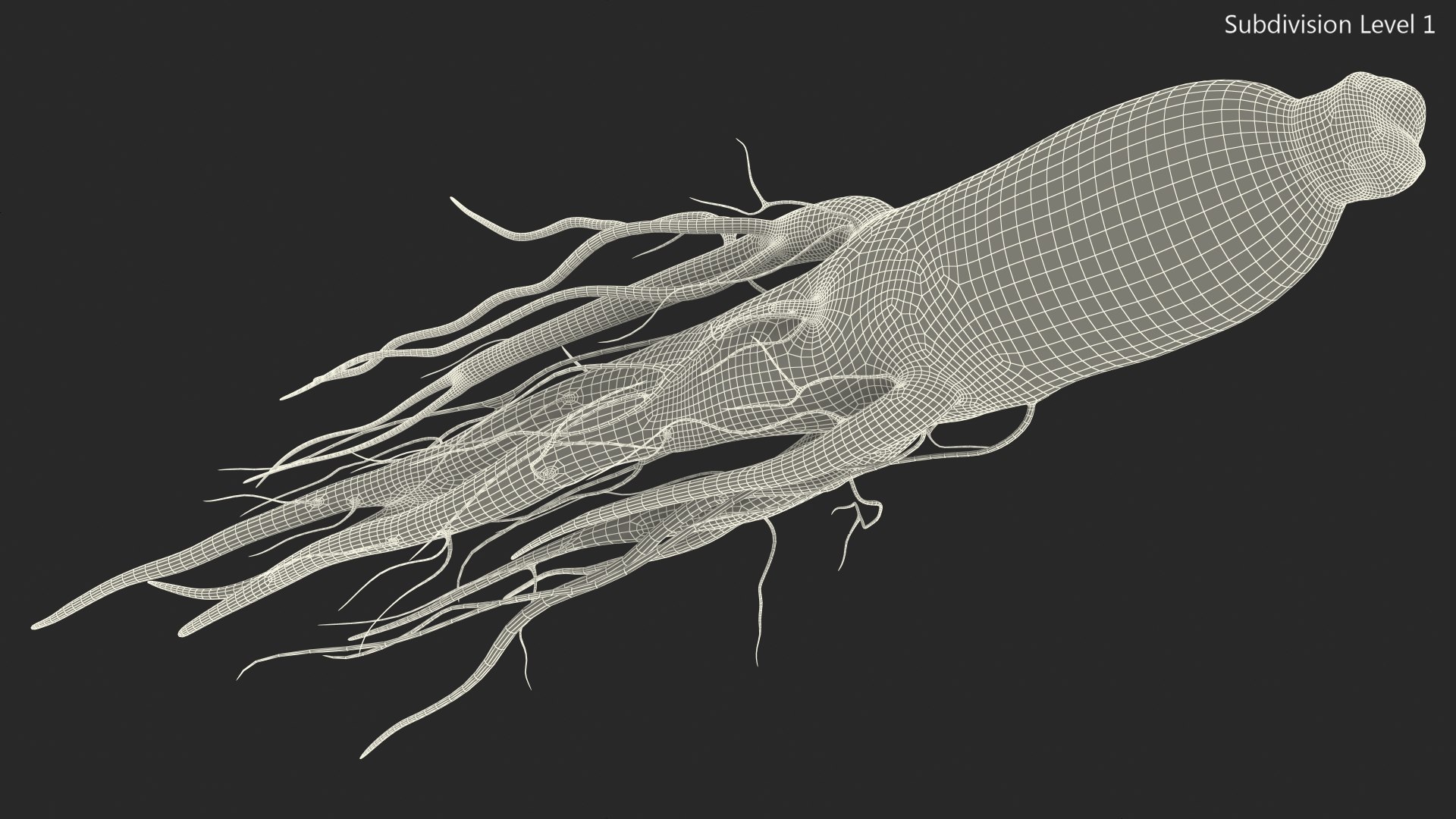 3D Fresh Ginseng Root model https://p.turbosquid.com/ts-thumb/az/ngEluw/2L/freshginsengrootc4dmodel016/jpg/1646213620/1920x1080/fit_q87/768730b04ff08b02d440adf0293173e11cbed613/freshginsengrootc4dmodel016.jpg