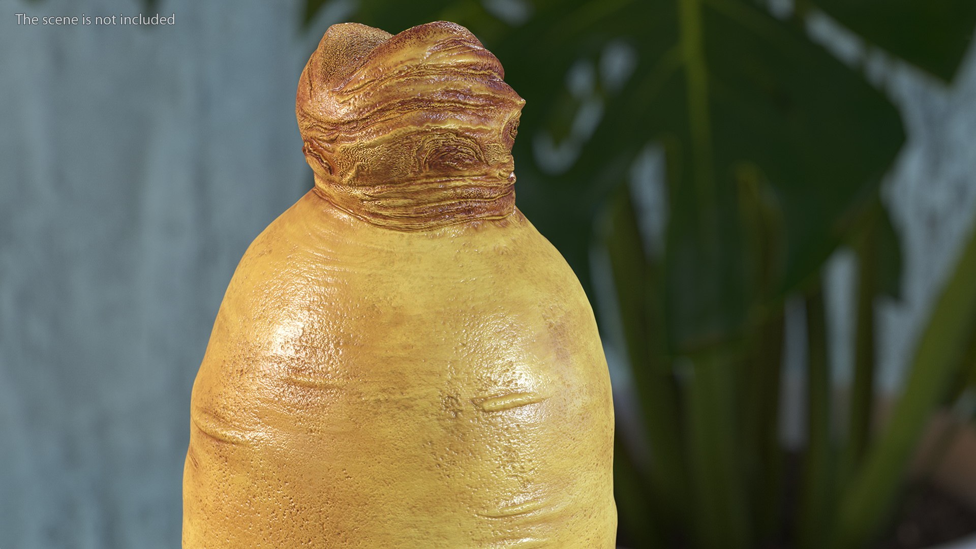 3D Fresh Ginseng Root model https://p.turbosquid.com/ts-thumb/az/ngEluw/70/freshginsengrootc4dmodel005/jpg/1646213582/1920x1080/fit_q87/9cc12c1567e60424f67f661fe4374966980d80ff/freshginsengrootc4dmodel005.jpg