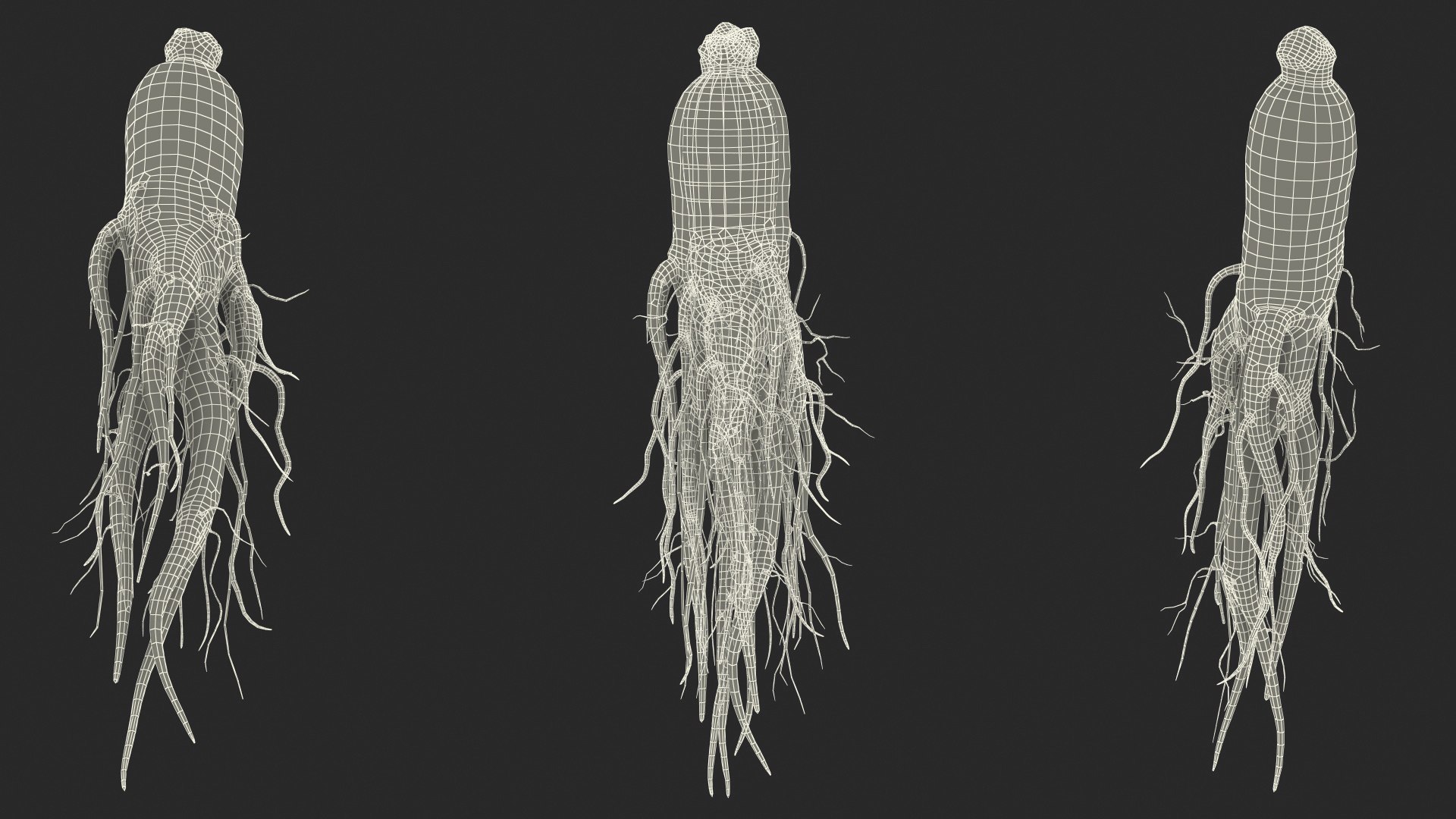 3D Fresh Ginseng Root model https://p.turbosquid.com/ts-thumb/az/ngEluw/GL/freshginsengrootc4dmodel024/jpg/1646213644/1920x1080/fit_q87/1b59560c5753219e0960035a2bc41a5e073b279e/freshginsengrootc4dmodel024.jpg