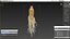 Racine de ginseng frais