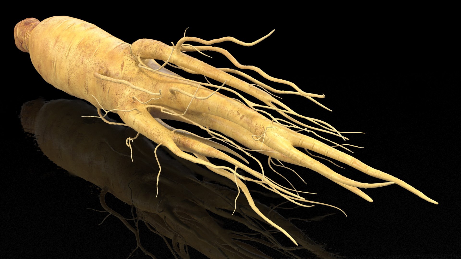 3D Fresh Ginseng Root model https://p.turbosquid.com/ts-thumb/az/ngEluw/Zo/freshginsengrootc4dmodel007/jpg/1646213591/1920x1080/fit_q87/facd37e3e82c28dbd35df2188bccf9bac83e7d2f/freshginsengrootc4dmodel007.jpg