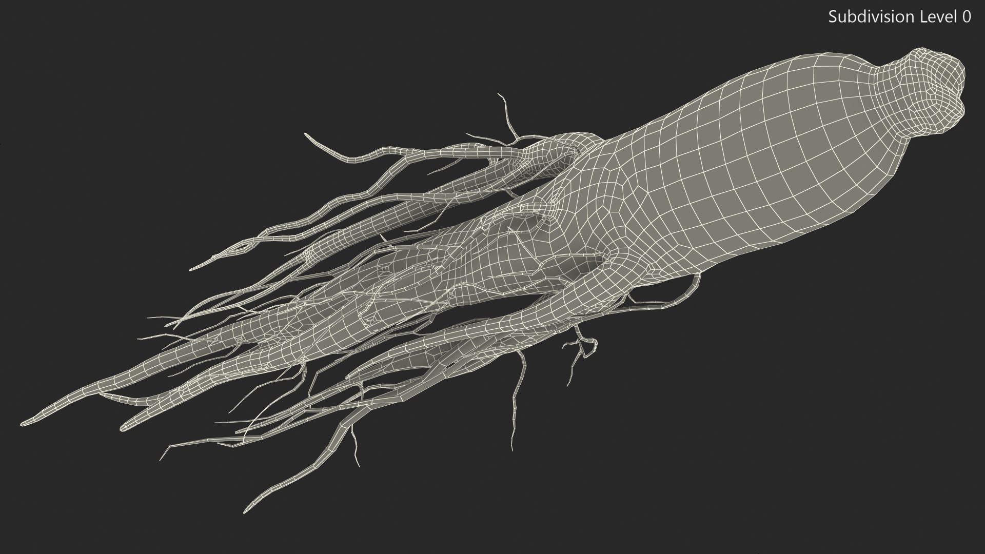 3D Fresh Ginseng Root model https://p.turbosquid.com/ts-thumb/az/ngEluw/iw/freshginsengrootc4dmodel015/jpg/1646213617/1920x1080/fit_q87/60047923ba4e05a5850ef48079508c2d9f6027dd/freshginsengrootc4dmodel015.jpg