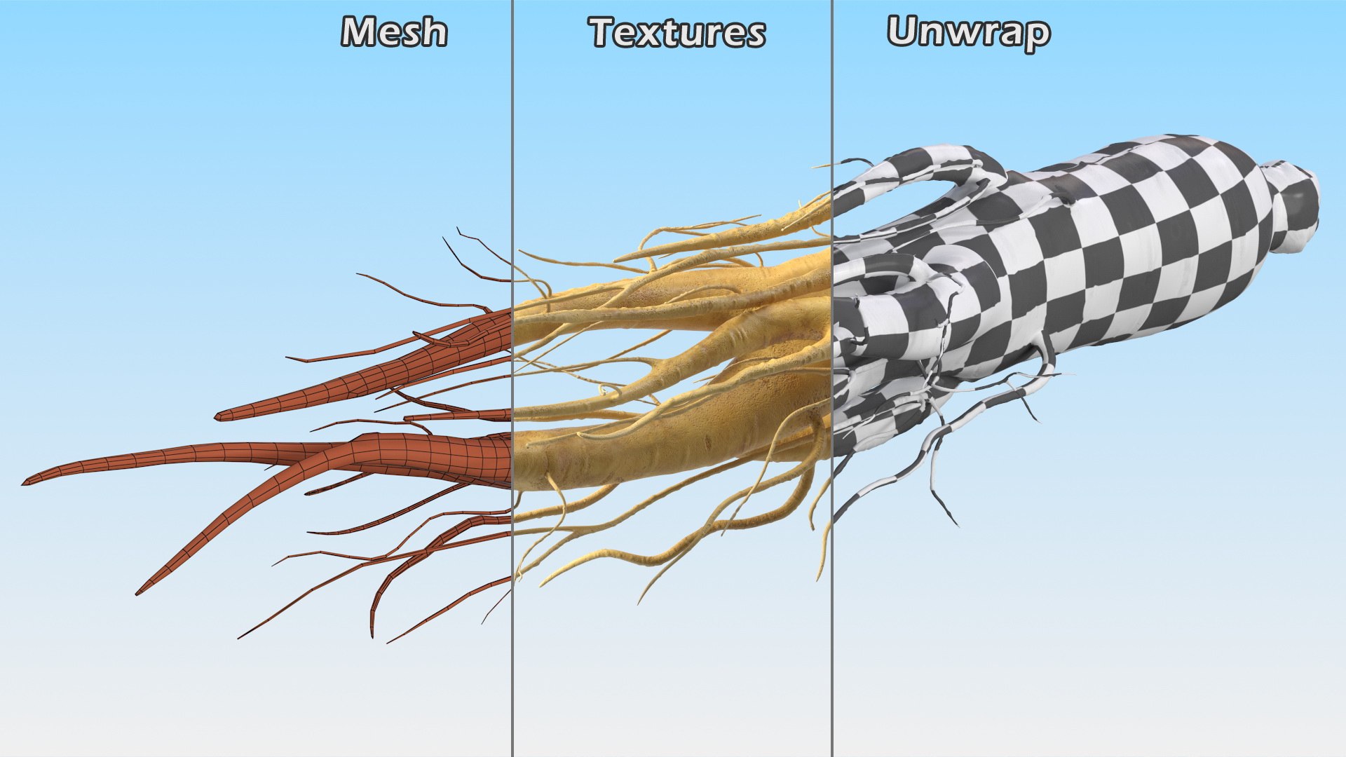 3D Fresh Ginseng Root model https://p.turbosquid.com/ts-thumb/az/ngEluw/xP/freshginsengrootc4dmodel014/jpg/1646213614/1920x1080/fit_q87/520e59fa82e85697f4215919ac26832e0cbaedaf/freshginsengrootc4dmodel014.jpg