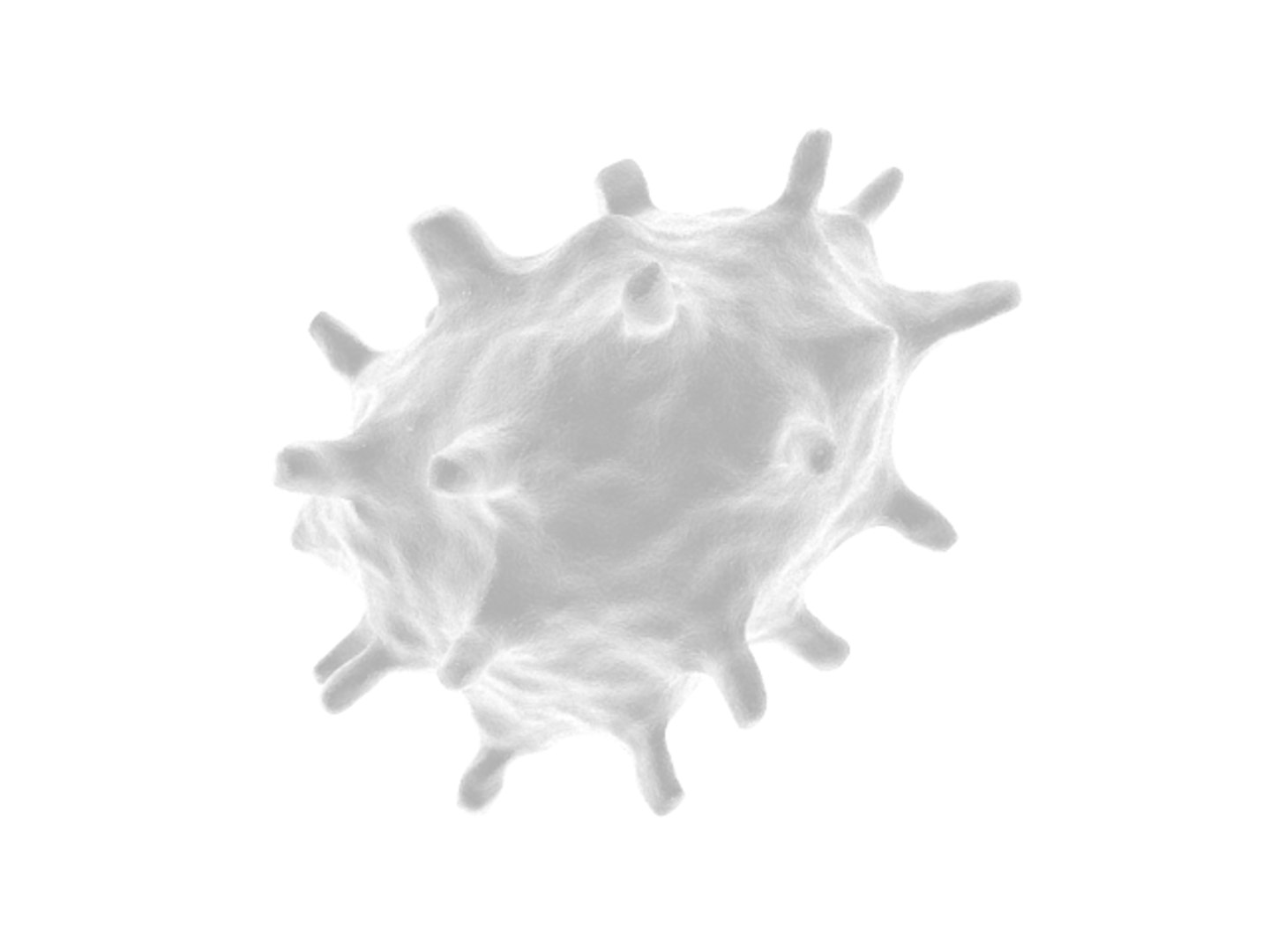 3d Model White Blood Cell