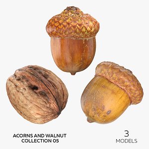 Acorns and Walnut Collection 05 - 3 models model
