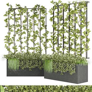 3D Collection plant vol 36 model