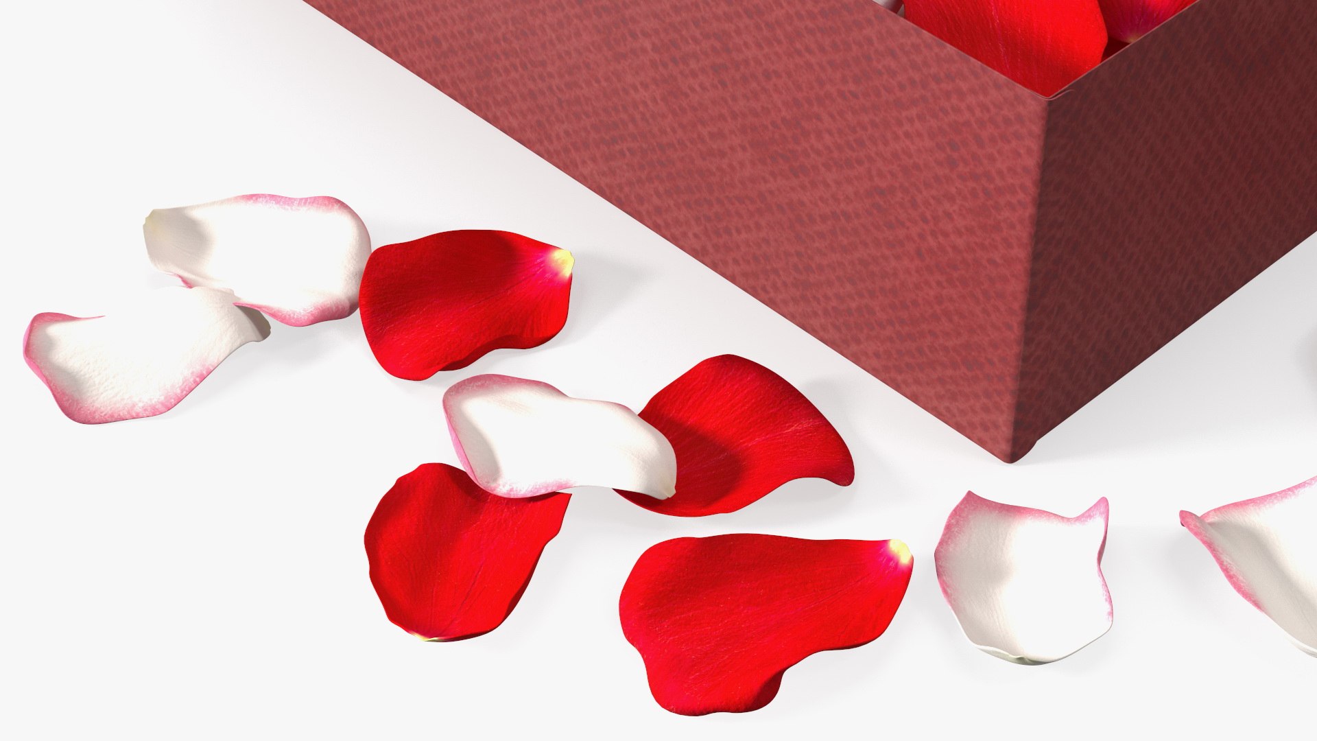 Box With Rose Petals 3D model https://p.turbosquid.com/ts-thumb/b0/FAz3Q2/9f/boxwithrosepetals3dsmodel021/jpg/1644274230/1920x1080/fit_q87/a541a90fc24ae433795bd06d84465c3f8d96630d/boxwithrosepetals3dsmodel021.jpg