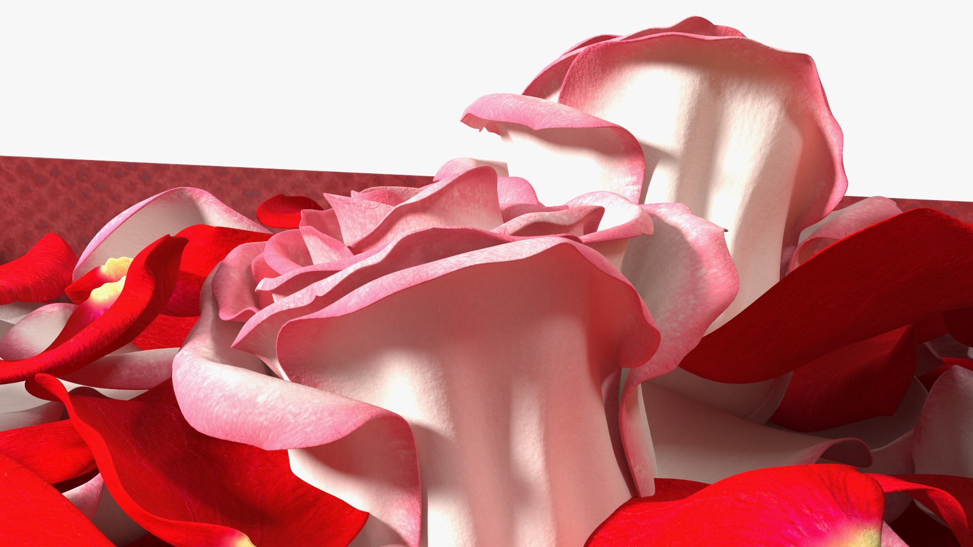 Box With Rose Petals 3D model https://p.turbosquid.com/ts-thumb/b0/FAz3Q2/Pp/boxwithrosepetals3dsmodel019/jpg/1644274224/1920x1080/fit_q87/5f1c92414b203261ba0c462273eee1f2eaeb753d/boxwithrosepetals3dsmodel019.jpg