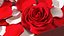 Box With Rose Petals