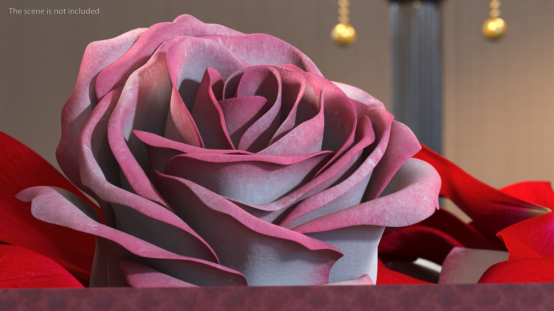 Box With Rose Petals 3D model https://p.turbosquid.com/ts-thumb/b0/FAz3Q2/eM/boxwithrosepetals3dsmodel007/jpg/1644274183/1920x1080/fit_q87/3d69ba92a1901e546f485ffe29a2a52b6e5493e7/boxwithrosepetals3dsmodel007.jpg