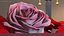 Box With Rose Petals