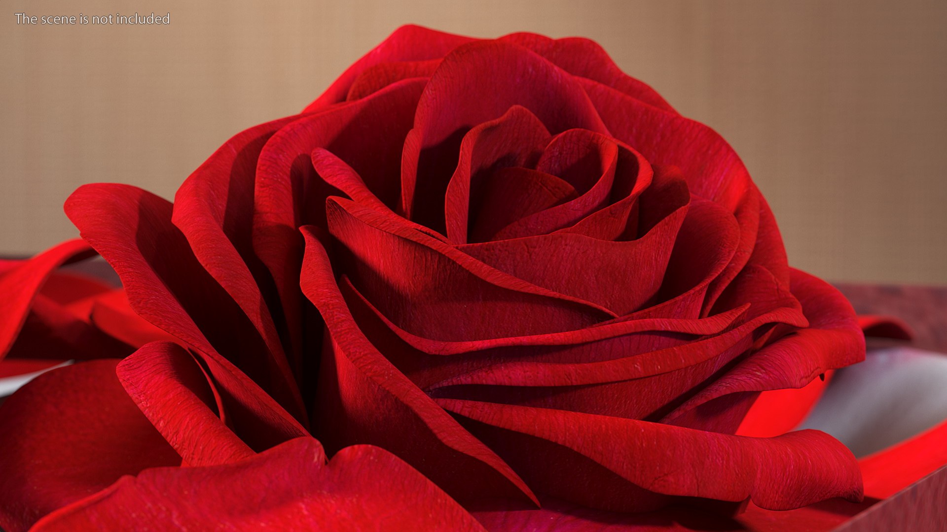 Box With Rose Petals 3D model https://p.turbosquid.com/ts-thumb/b0/FAz3Q2/vM/boxwithrosepetals3dsmodel008/jpg/1644274185/1920x1080/fit_q87/0590ea8e5dddbd24fd05b8598c19731eb7bc9ac6/boxwithrosepetals3dsmodel008.jpg