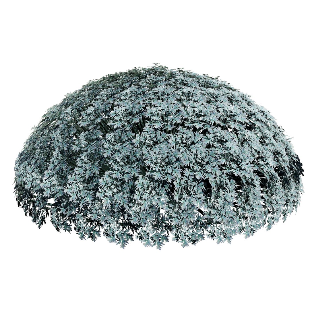 Artemisia schmidtiana Silver Mound 3d model 3D https://p.turbosquid.com/ts-thumb/b0/K4hCgX/0n/artemisia_winter02/jpg/1704123849/1920x1080/fit_q87/9c78d12c04a7049f9037c1f8337e781b6009e98b/artemisia_winter02.jpg