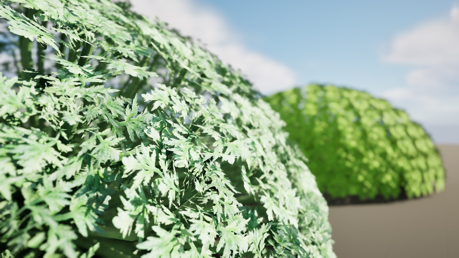 Artemisia schmidtiana Silver Mound 3d model 3D https://p.turbosquid.com/ts-thumb/b0/K4hCgX/Qq/highresscreenshot00002/jpg/1704123852/1920x1080/fit_q87/646b0aa32ab710fa86982b30d87b13cb73e5f9aa/highresscreenshot00002.jpg