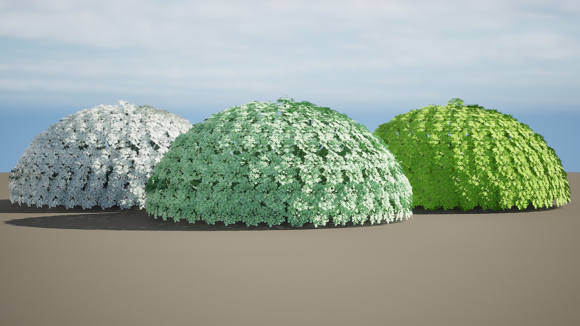 Artemisia schmidtiana Silver Mound 3d model 3D https://p.turbosquid.com/ts-thumb/b0/K4hCgX/wu/highresscreenshot00001/jpg/1704123851/1920x1080/fit_q87/2dd48a2a7b4991d8bb69d89b79b4a2997638801c/highresscreenshot00001.jpg