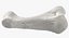 Human Arm Hand and Foot Bones Collection White - 24 models