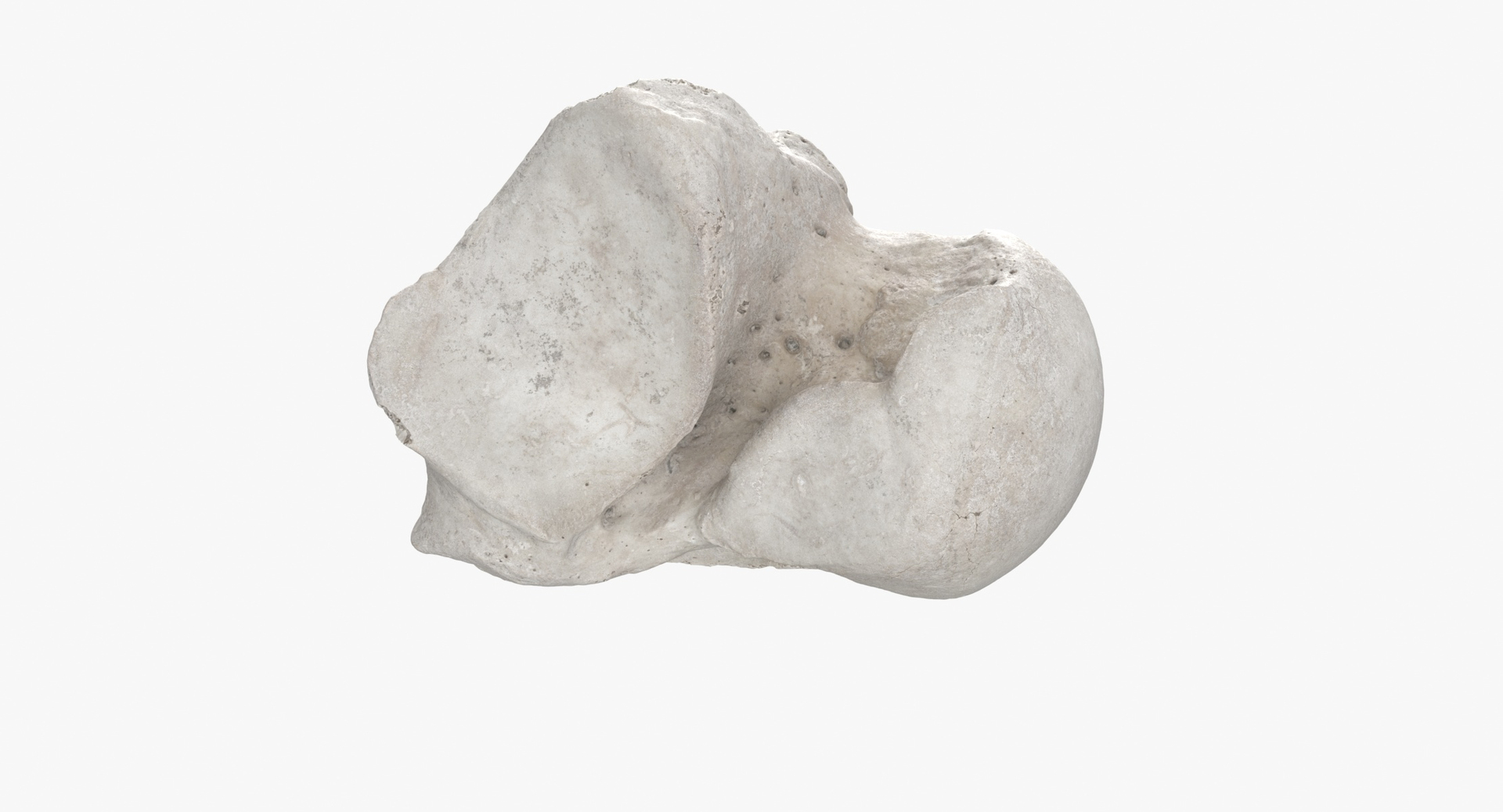 3D model Human Arm Hand and Foot Bones Collection White - 24 models https://p.turbosquid.com/ts-thumb/b0/MniVOx/3S/0000/jpg/1607586108/1920x1080/turn_fit_q99/88fc1b61b965985c58f0e48f7de57790e0cdd3ef/0000-1.jpg