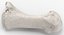 Human Arm Hand and Foot Bones Collection White - 24 models