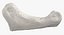 Human Arm Hand and Foot Bones Collection White - 24 models