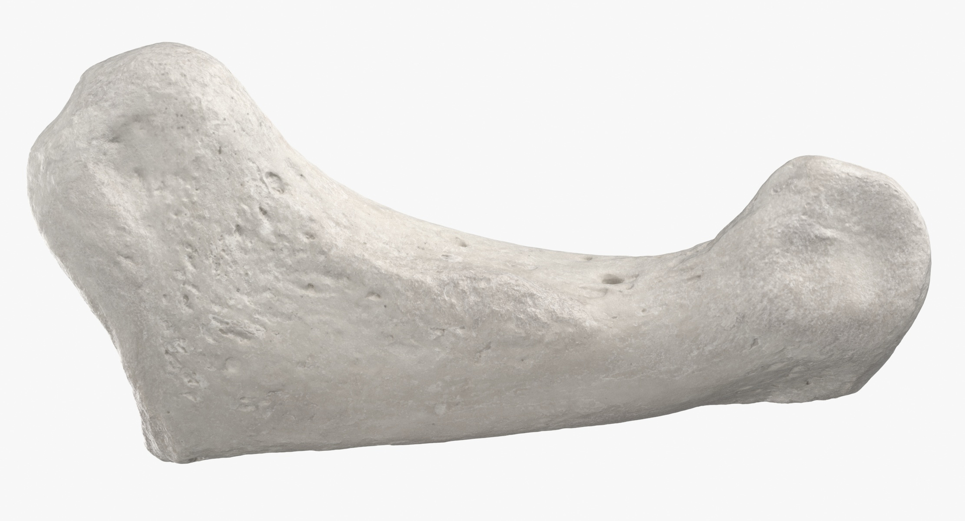 3D model Human Arm Hand and Foot Bones Collection White - 24 models https://p.turbosquid.com/ts-thumb/b0/MniVOx/9f/0000/jpg/1588577262/1920x1080/turn_fit_q99/37f41f1fe047c9922762e691871fae9e8a117145/0000-1.jpg