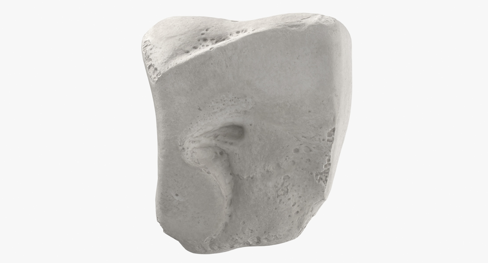 3D model Human Arm Hand and Foot Bones Collection White - 24 models https://p.turbosquid.com/ts-thumb/b0/MniVOx/Er/0000/jpg/1590747703/1920x1080/turn_fit_q99/59e3e18a055c1030877de01e6b8610134855ffb6/0000-1.jpg