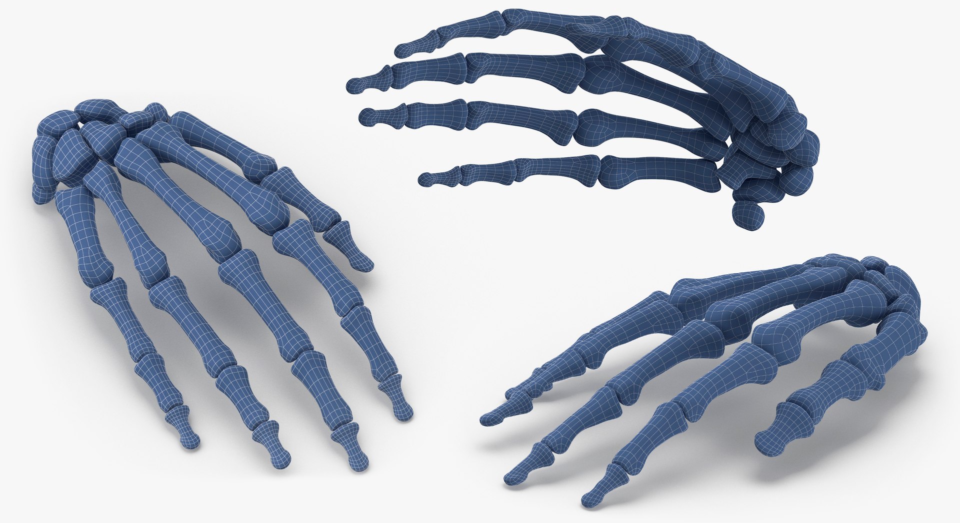3D model Human Arm Hand and Foot Bones Collection White - 24 models https://p.turbosquid.com/ts-thumb/b0/MniVOx/F1/1/jpg/1626247657/1920x1080/fit_q87/140a7d26a925b17c78df4e48edde284409d9d037/1.jpg