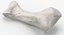 Human Arm Hand and Foot Bones Collection White - 24 models
