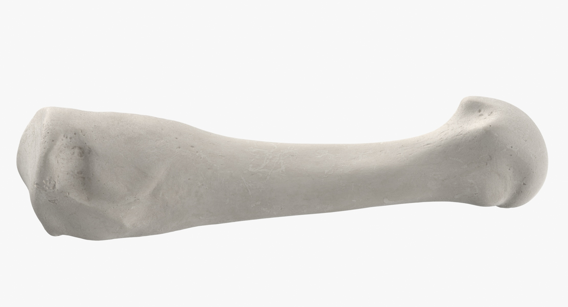 3D model Human Arm Hand and Foot Bones Collection White - 24 models https://p.turbosquid.com/ts-thumb/b0/MniVOx/WX/0000/jpg/1587714322/1920x1080/turn_fit_q99/fcdb5a5d6390d2c22c5c58330234be5c469aa31e/0000-1.jpg