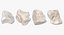 Human Arm Hand and Foot Bones Collection White - 24 models