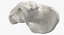 Human Arm Hand and Foot Bones Collection White - 24 models