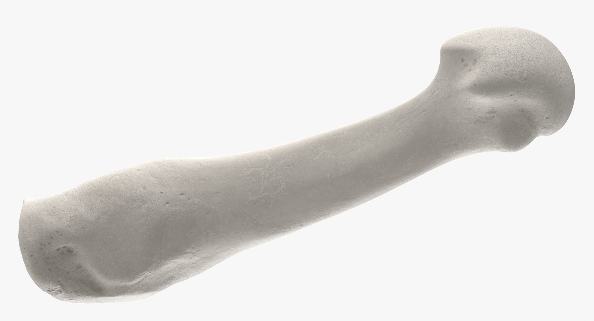 3D model Human Arm Hand and Foot Bones Collection White - 24 models https://p.turbosquid.com/ts-thumb/b0/MniVOx/bo/fourth_metatarsal_bone_01_white_thumbnail_0008/jpg/1626247501/1920x1080/fit_q87/806c88c5012049e42819ec68cbc91949a234d2d3/fourth_metatarsal_bone_01_white_thumbnail_0008.jpg