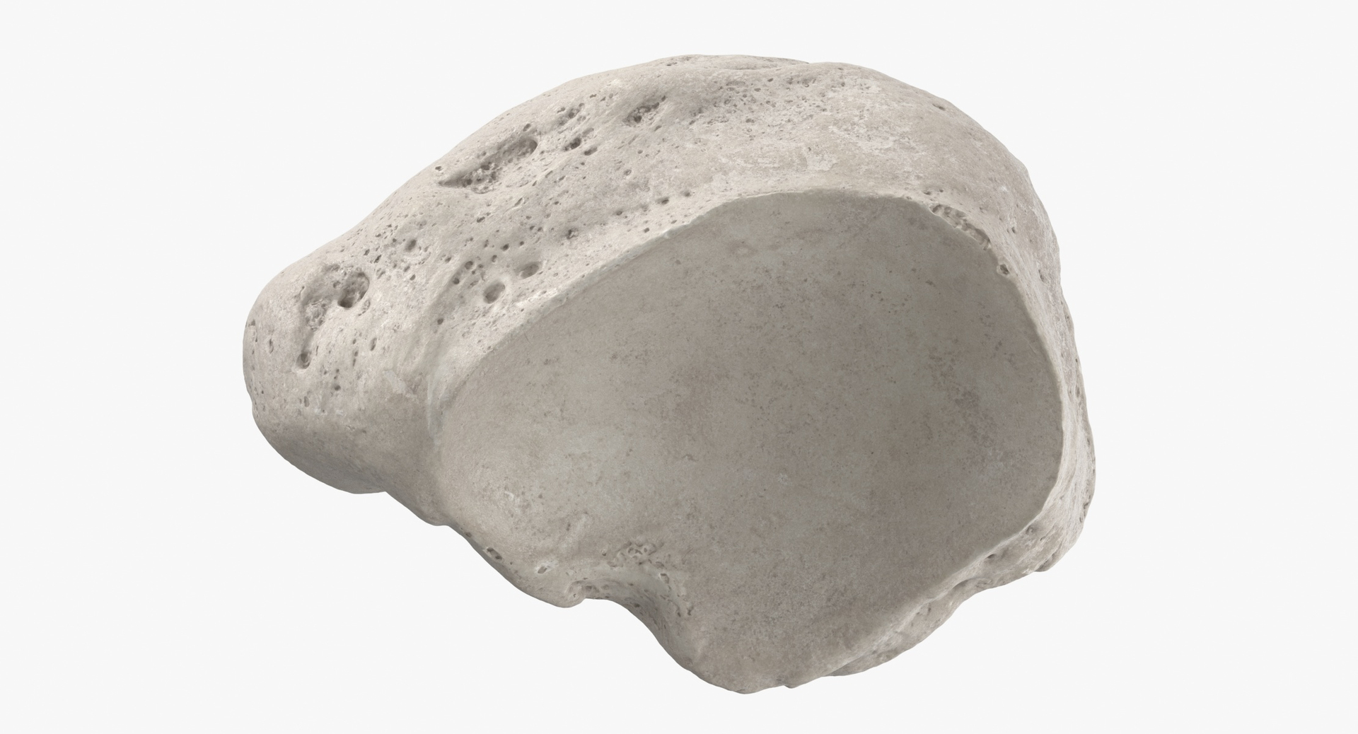3D model Human Arm Hand and Foot Bones Collection White - 24 models https://p.turbosquid.com/ts-thumb/b0/MniVOx/vQ/0000/jpg/1586779887/1920x1080/turn_fit_q99/b03bf7490b6e7810853136c90e996a6ceb4f216e/0000-1.jpg