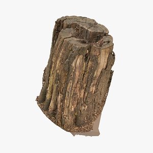 tree stump 03 raw model