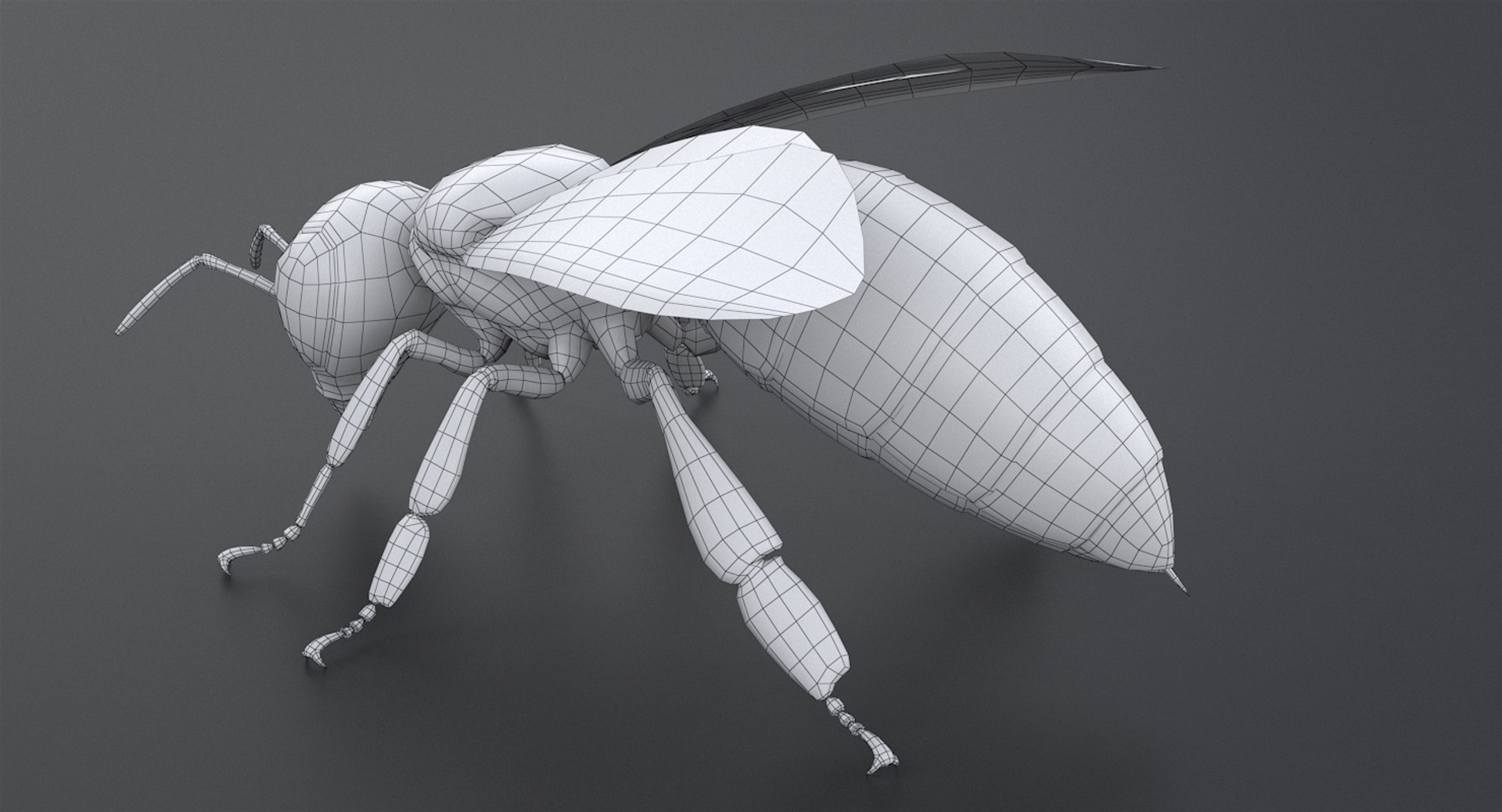 3D realistic bee real https://p.turbosquid.com/ts-thumb/b0/UQO5ub/2FHDTqXE/beemayavraya_14/jpg/1547647228/1920x1080/fit_q87/0b78637704fbc9431245a1c970fc2583990204e9/beemayavraya_14.jpg