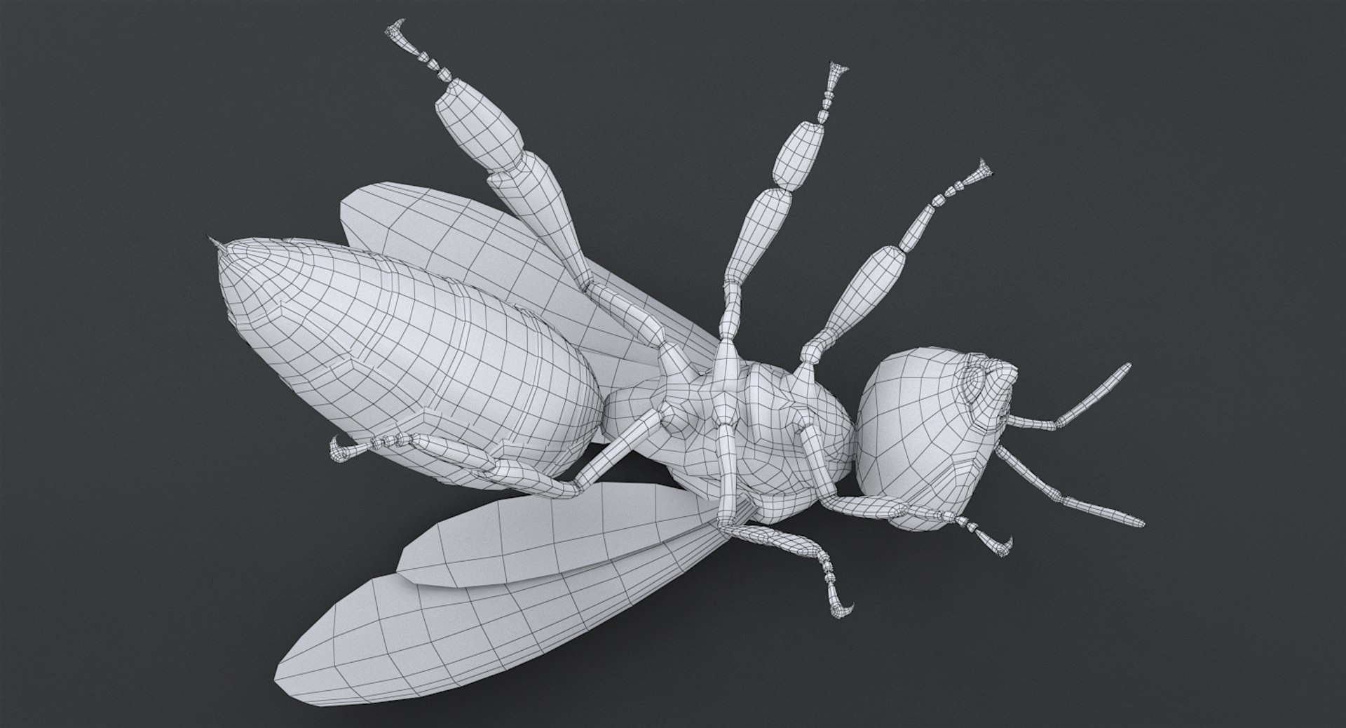3D realistic bee real https://p.turbosquid.com/ts-thumb/b0/UQO5ub/AQlyxf9e/beemayavraya_17/jpg/1547647228/1920x1080/fit_q87/53aa4b5ed31c3a6ea9f2dc9f3c79f558b111aa94/beemayavraya_17.jpg
