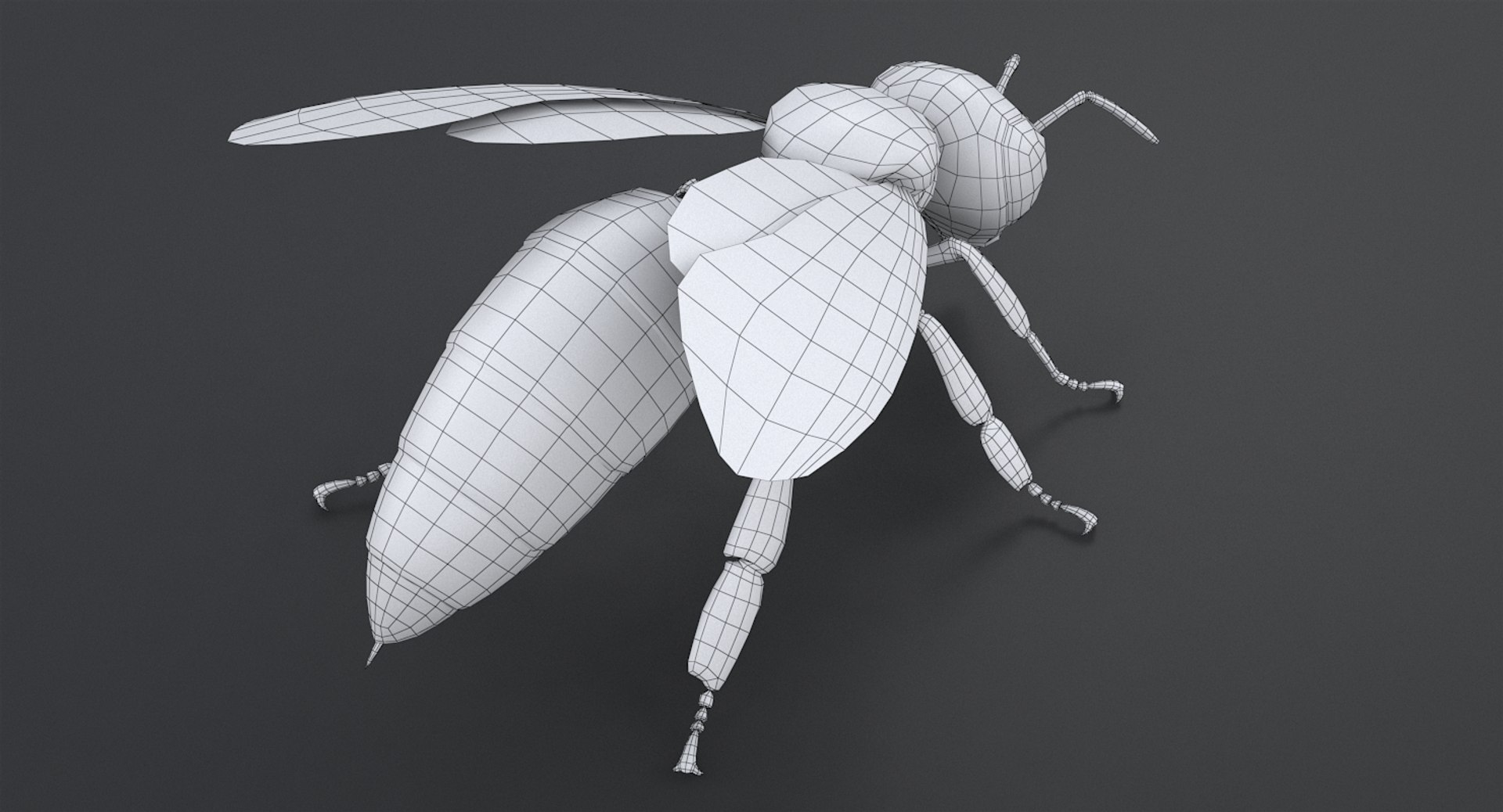 3D realistic bee real https://p.turbosquid.com/ts-thumb/b0/UQO5ub/BnG3iekW/beemayavraya_15/jpg/1547647228/1920x1080/fit_q87/9a111adcc508230f91405ff02a025019b3dbdc60/beemayavraya_15.jpg
