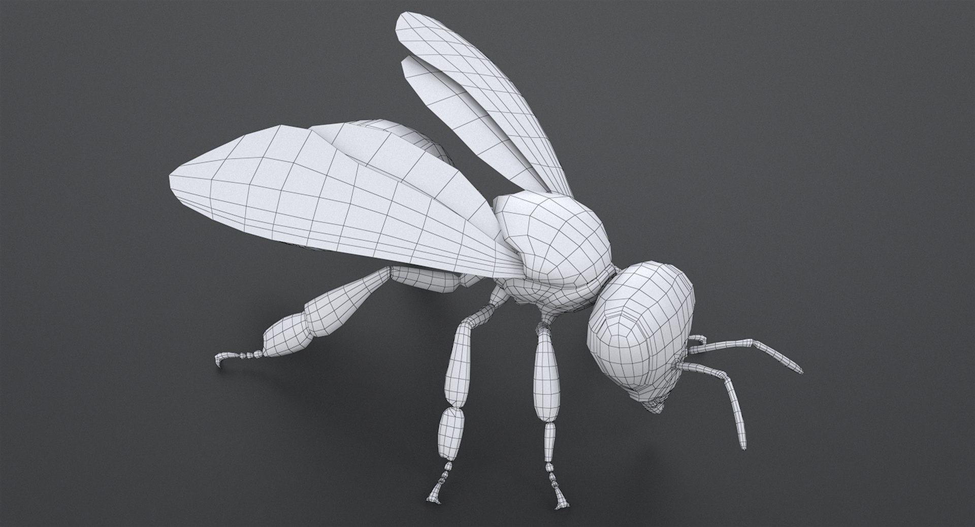 3D realistic bee real https://p.turbosquid.com/ts-thumb/b0/UQO5ub/K11ghaTj/beemayavraya_16/jpg/1547647228/1920x1080/fit_q87/40192486c73e92d0dc4ede32046c5c0315dbcbcd/beemayavraya_16.jpg