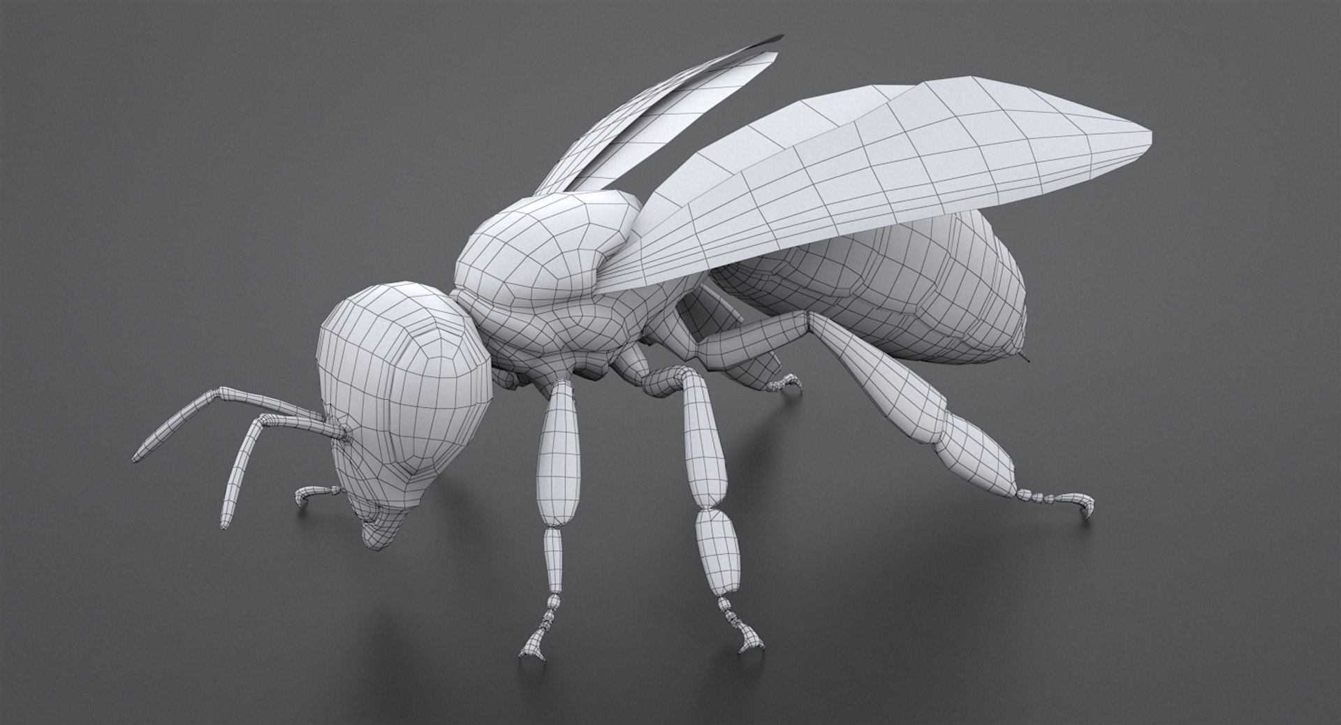 3D realistic bee real https://p.turbosquid.com/ts-thumb/b0/UQO5ub/Zk9nLyDk/beemayavraya_13/jpg/1547647228/1920x1080/fit_q87/3f050e23fb054aaaef78d934c5248159899cefde/beemayavraya_13.jpg